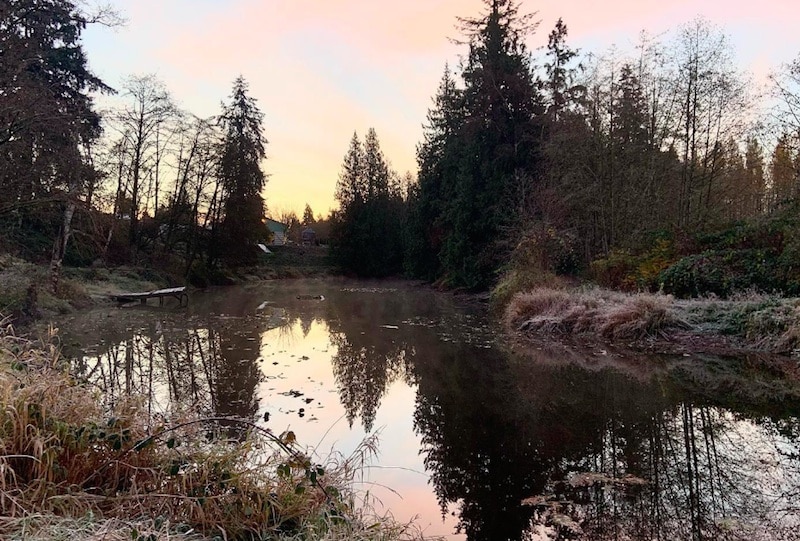 The pond at MacInnes Farms in British Columbia. (Image: Facebook/Jamestown Movie Set)
